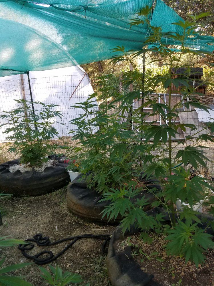 20180709 082056