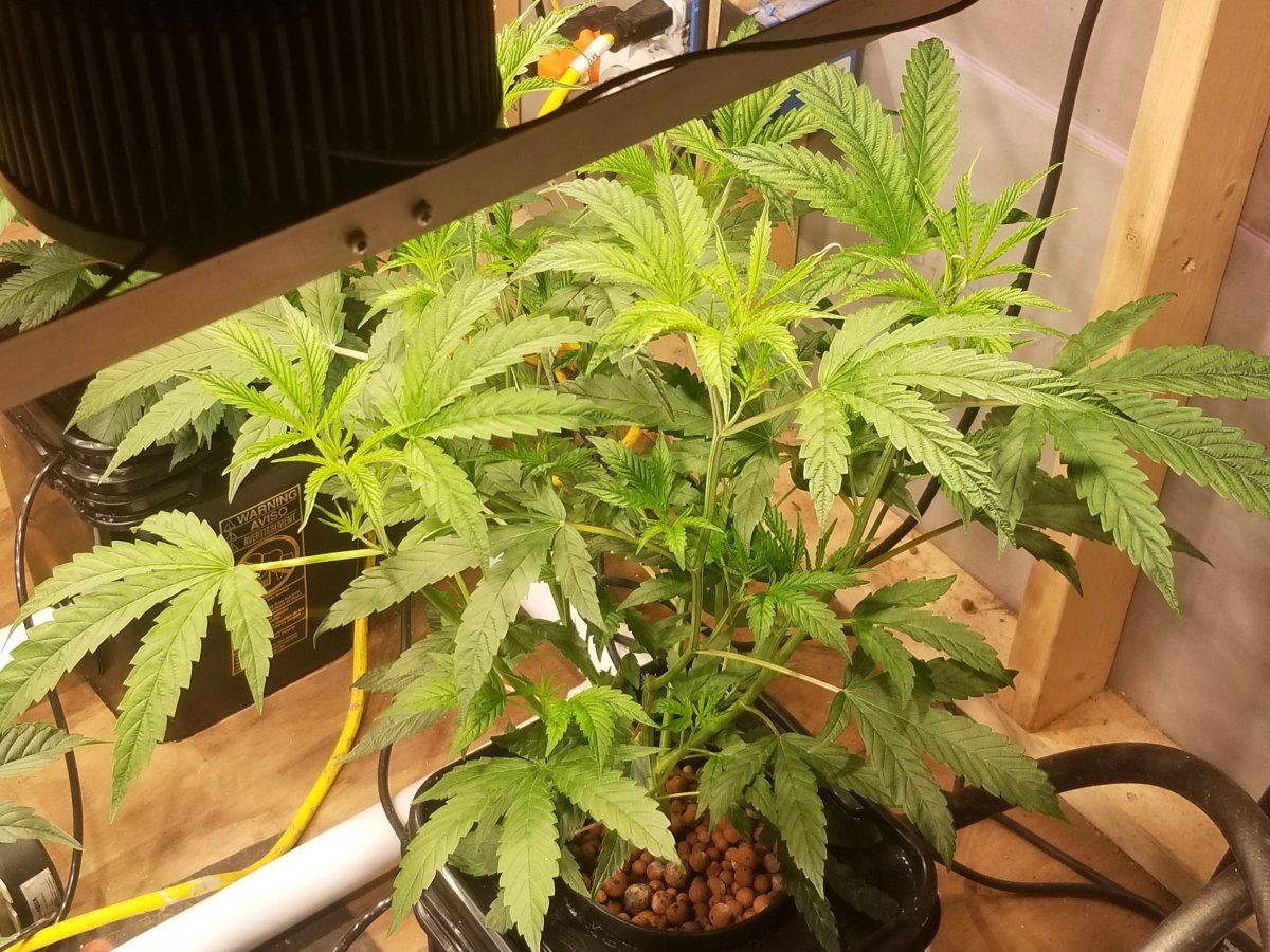 20180710 212750