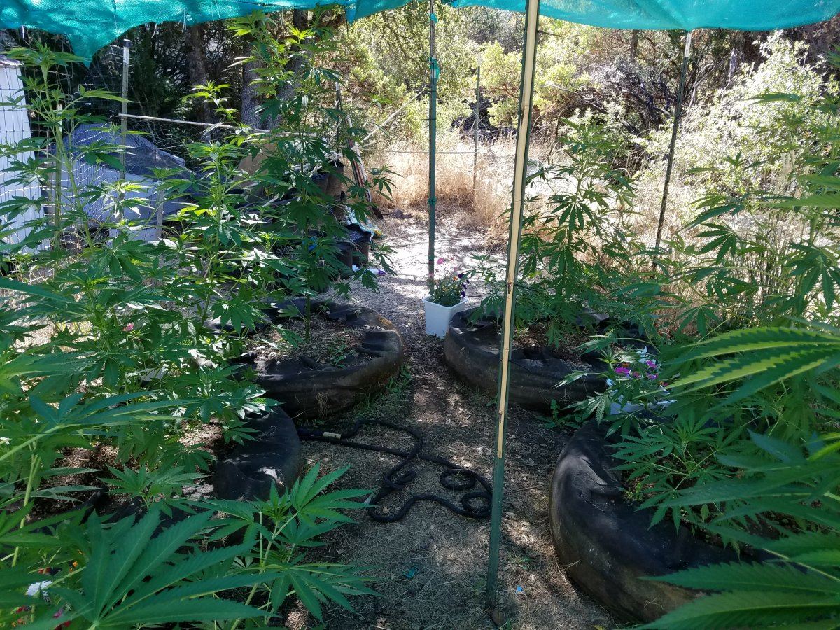 20180711 091243