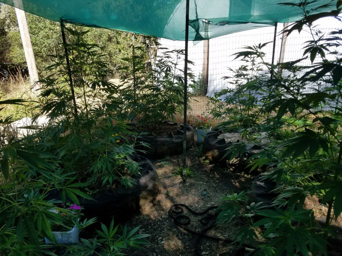20180711 091401