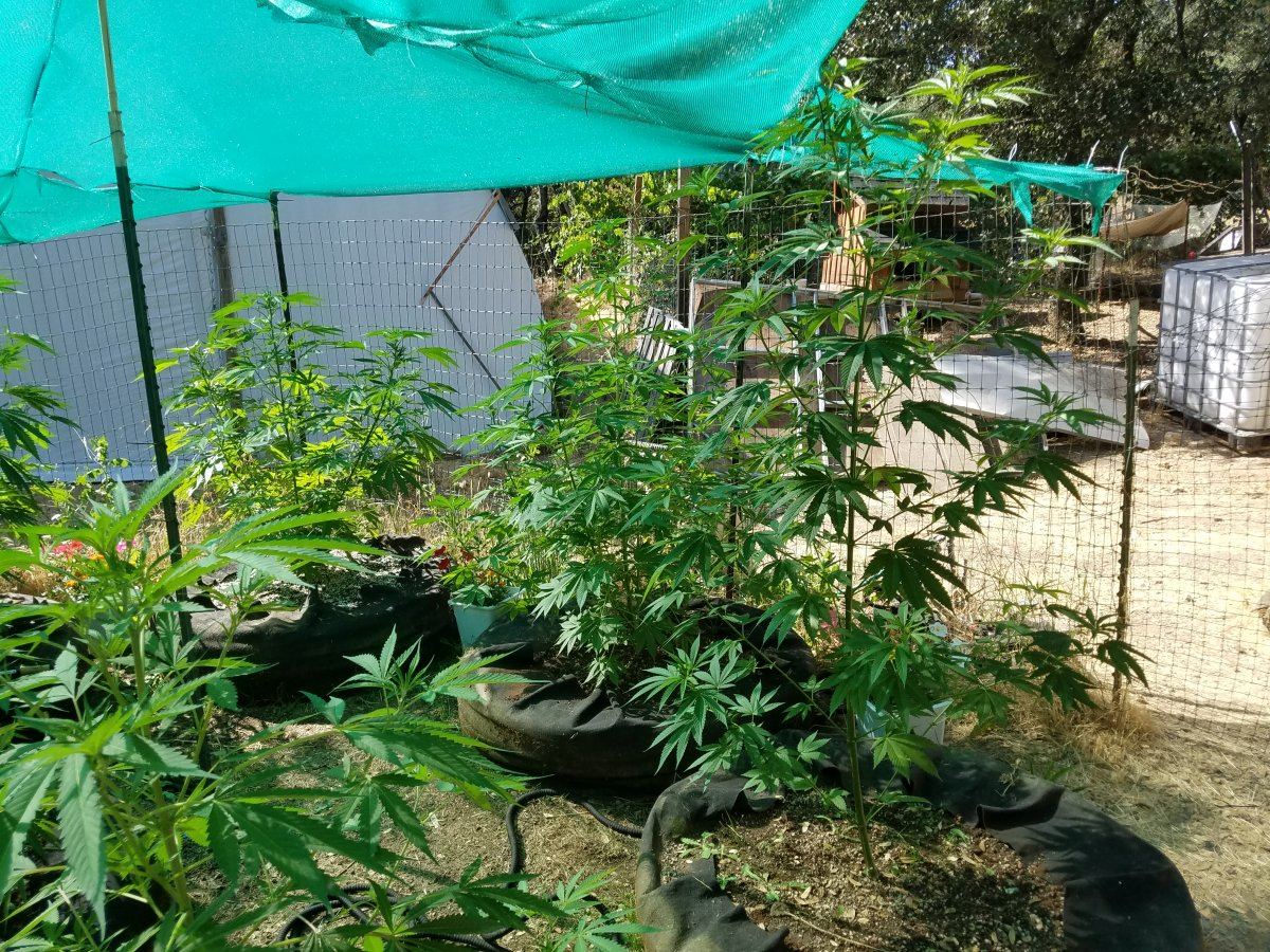 20180712 164541