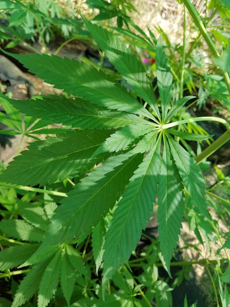 20180712 170630
