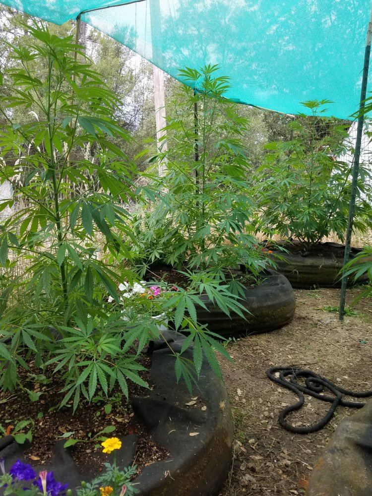 20180713 090221