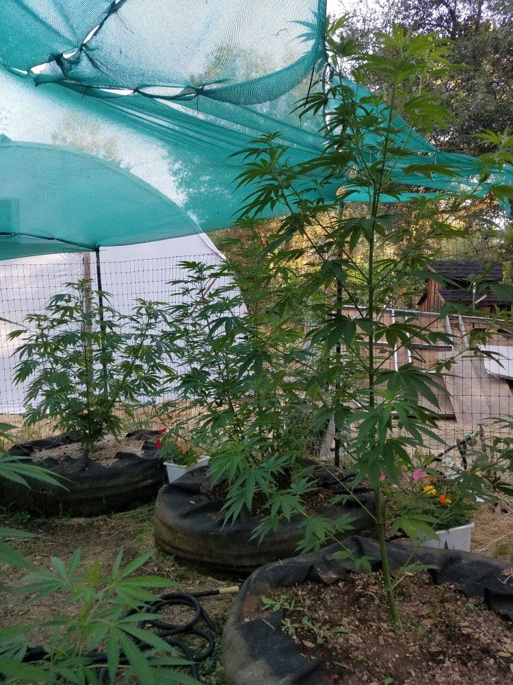 20180714 070231