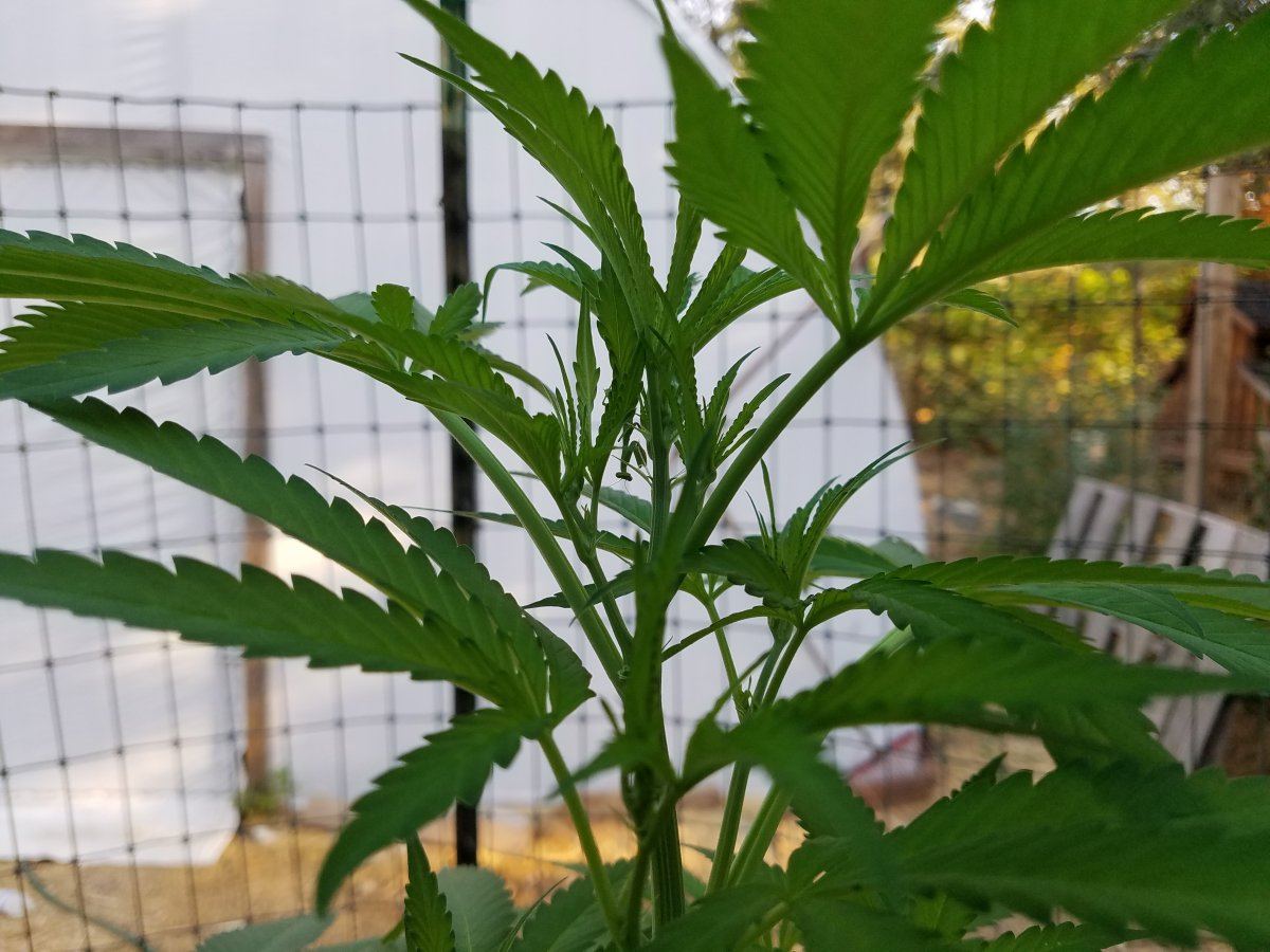 20180714 072105