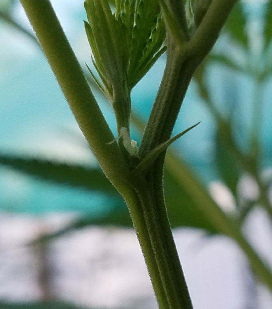 20180714 075425
