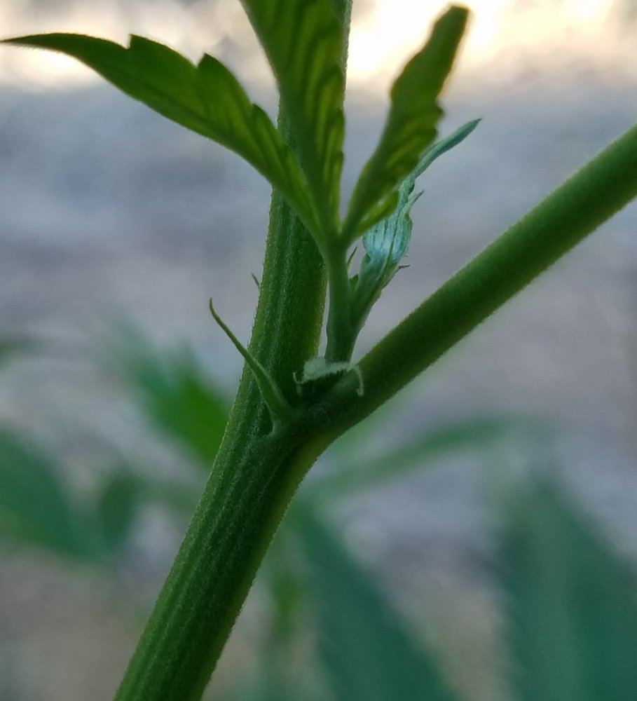 20180714 075450