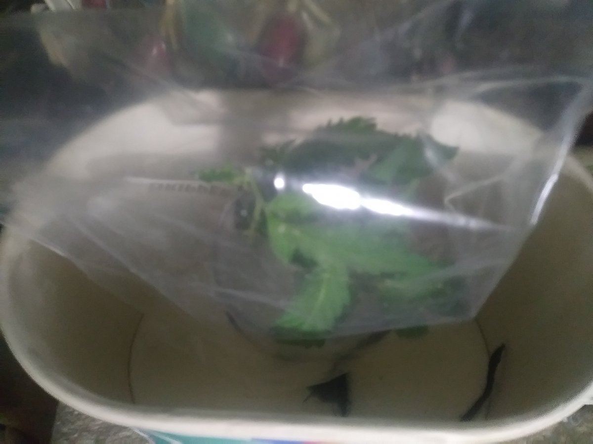20180718 051448