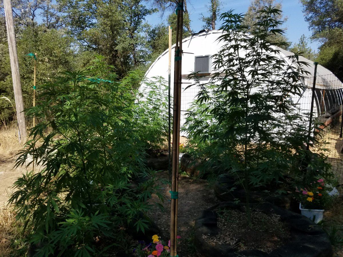 20180722 102336