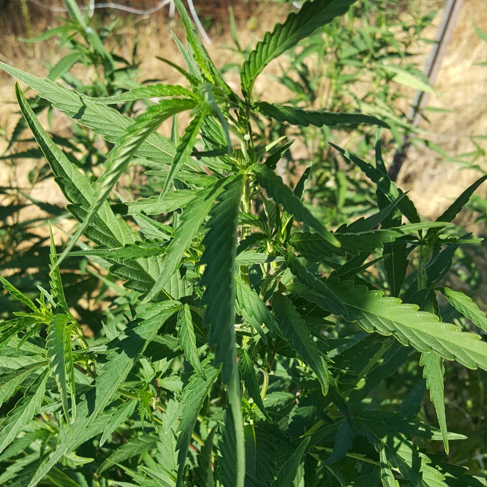 20180723 183329