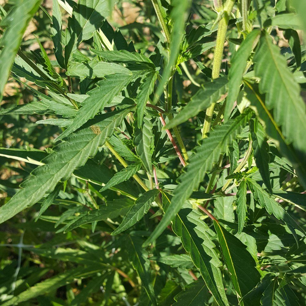 20180723 183349