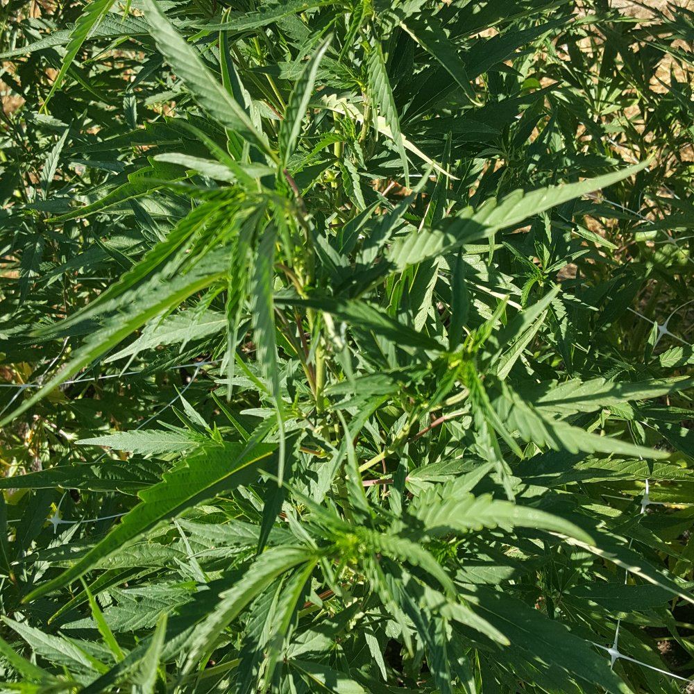 20180723 183355