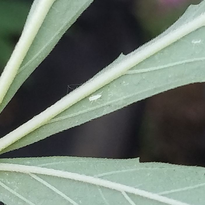 20180724 080753