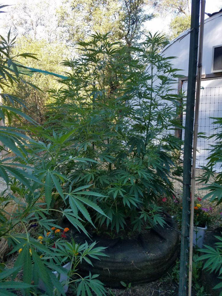 20180725 080108