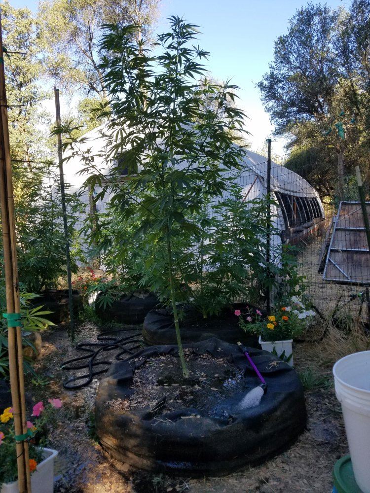20180725 083933