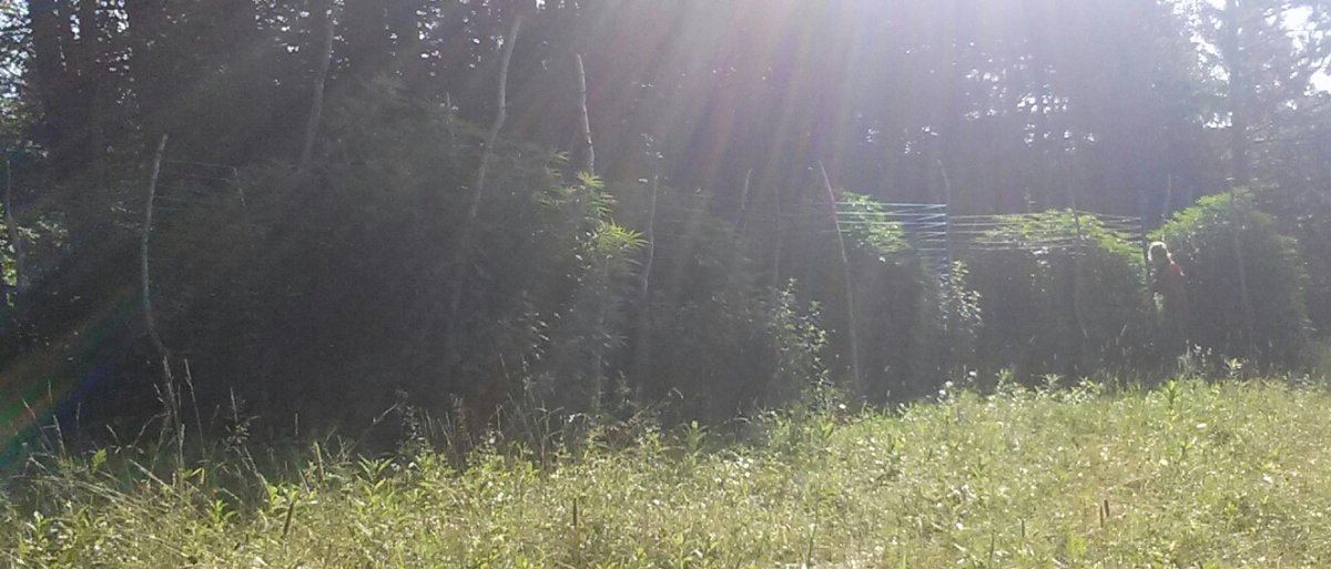 20180727 084551 1