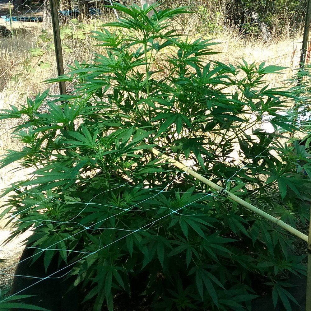 20180727 232153