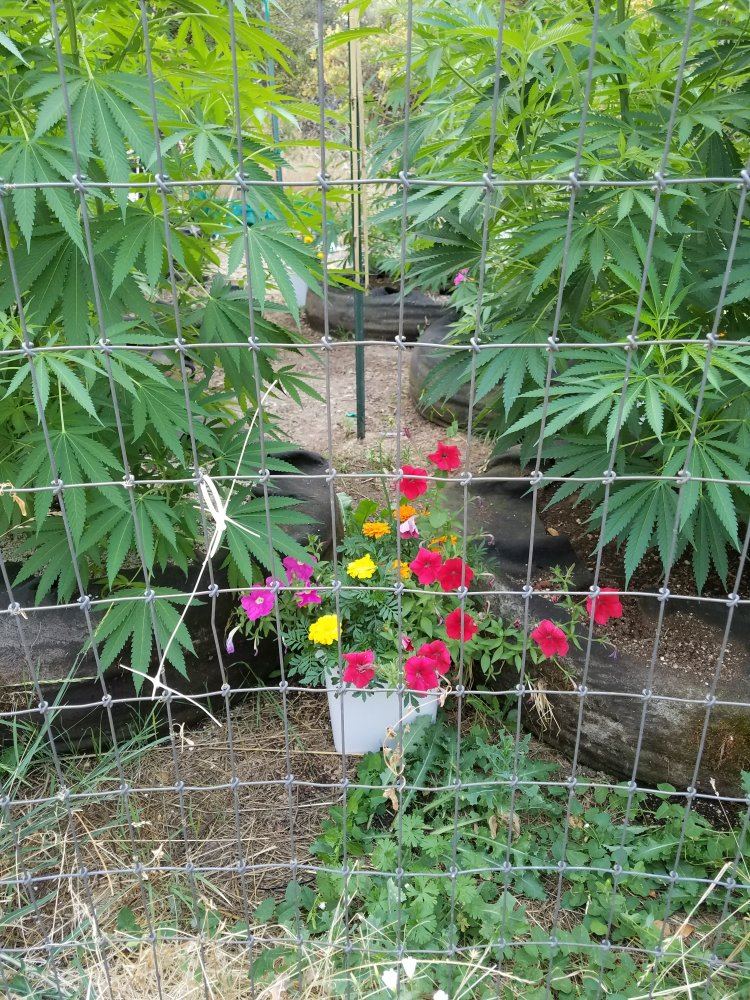 20180728 072700