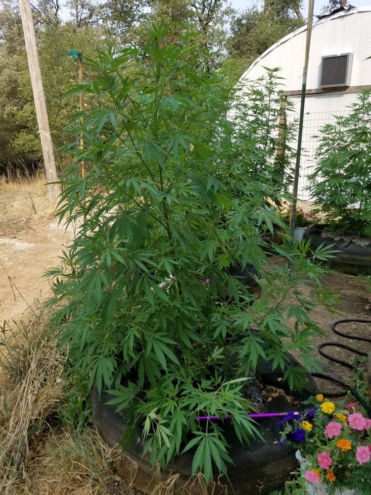 20180729 094118