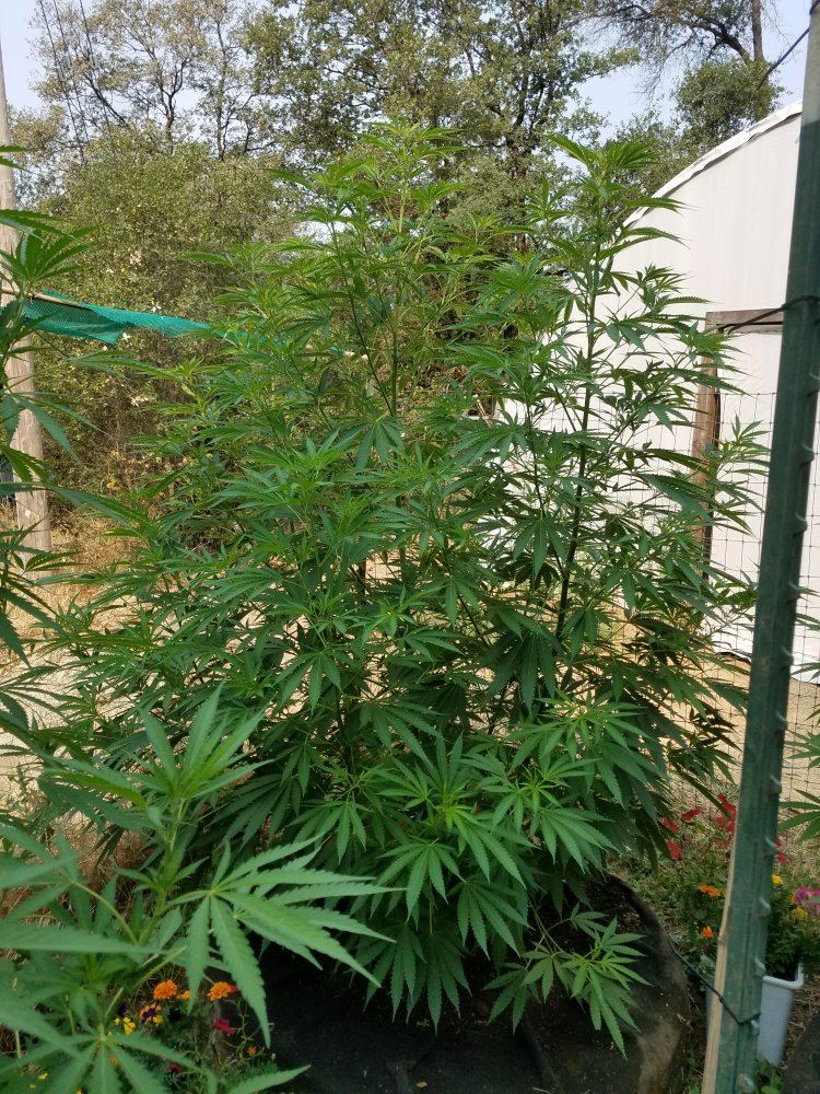 20180729 094222