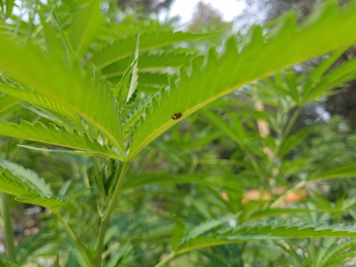 20180729 142752