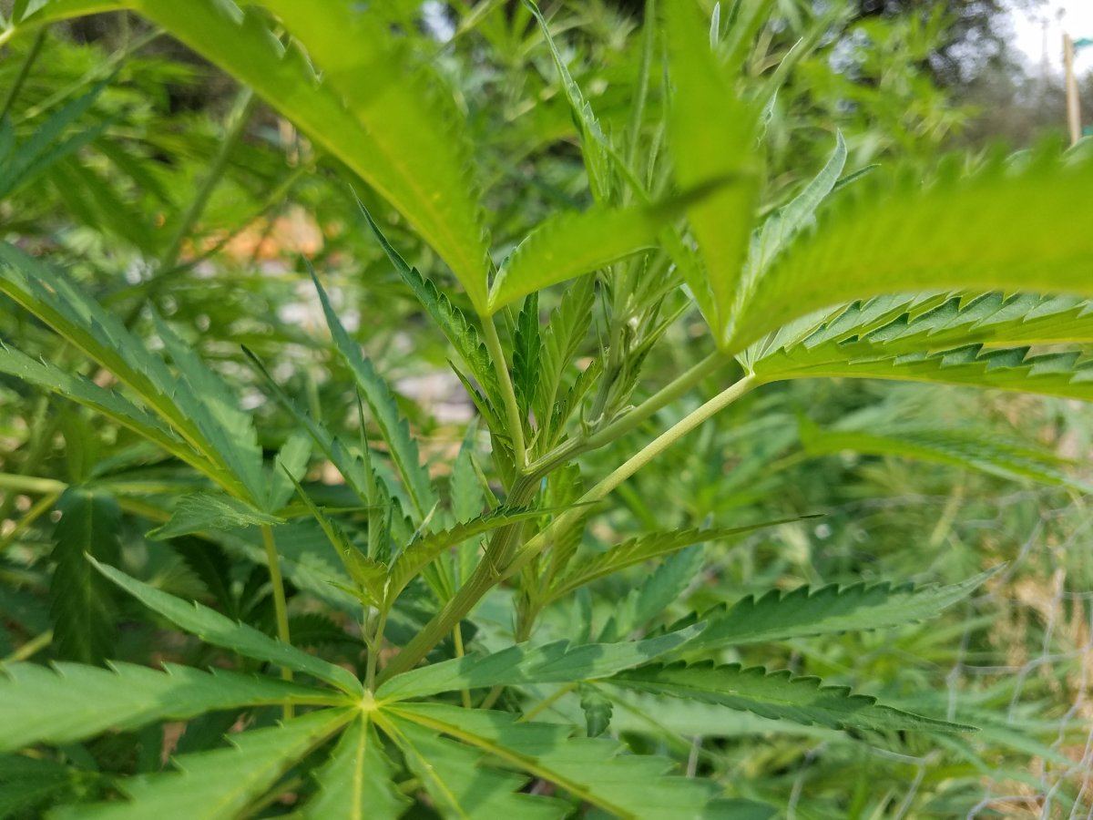20180729 142810