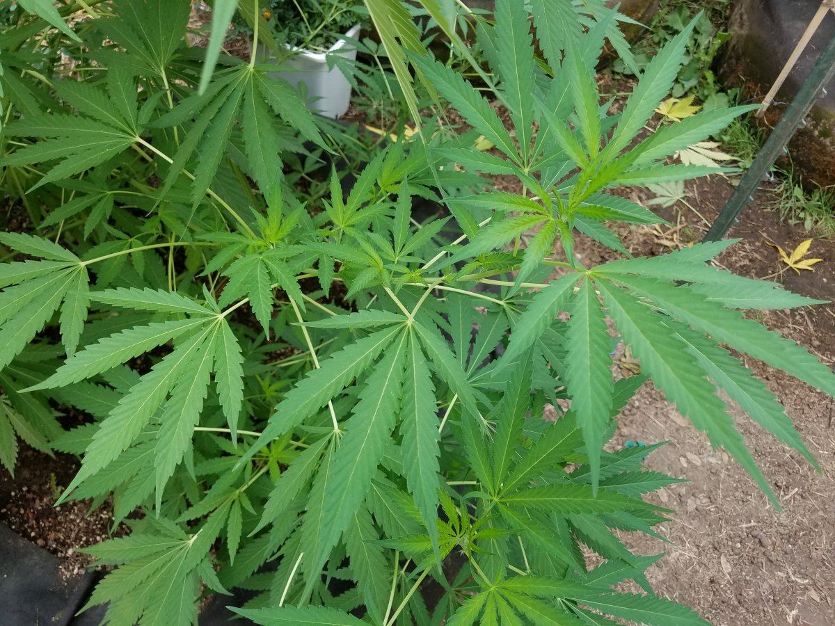 20180730 085727