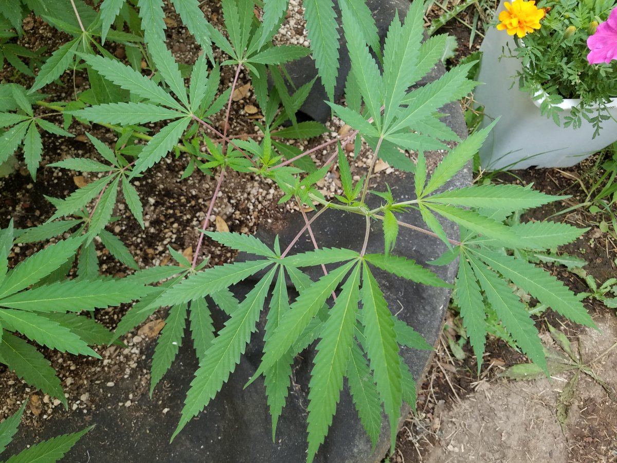 20180730 085833