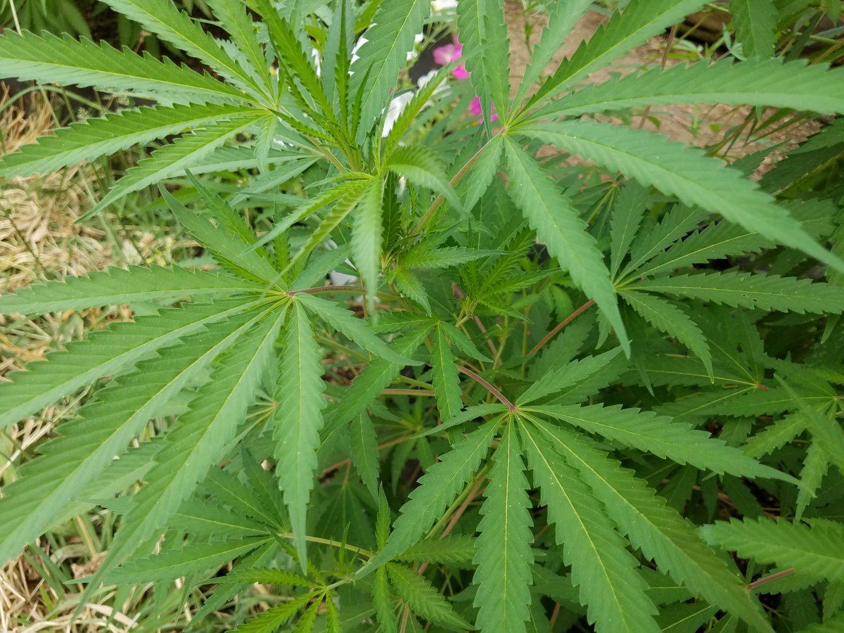 20180730 090136
