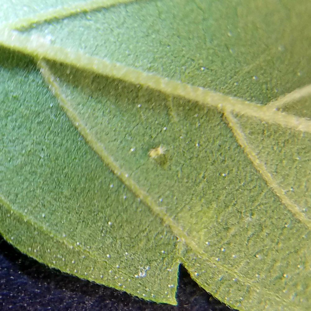 20180730 094015