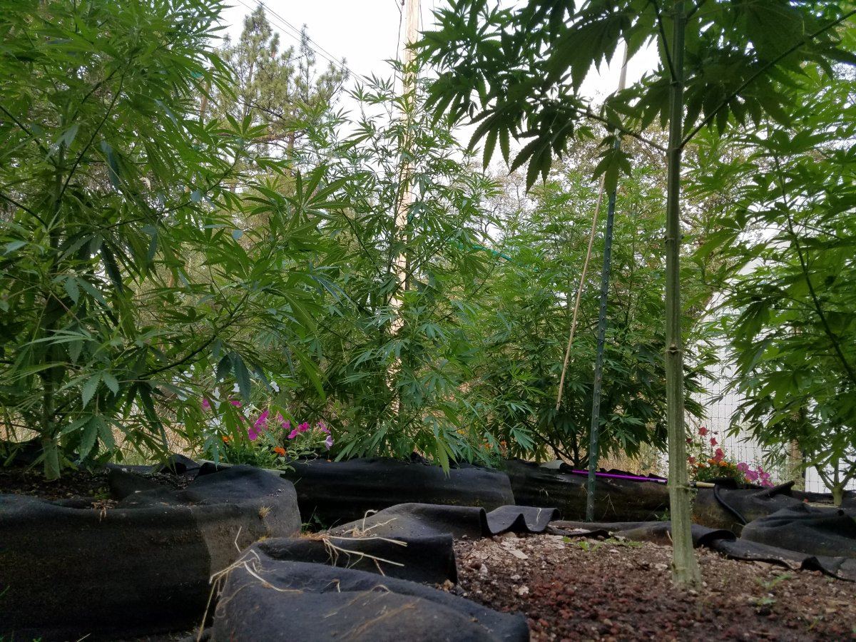 20180731 081703