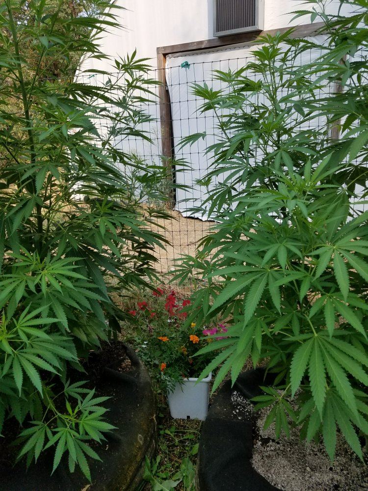 20180731 090114