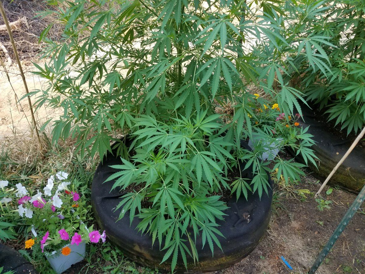 20180731 090211