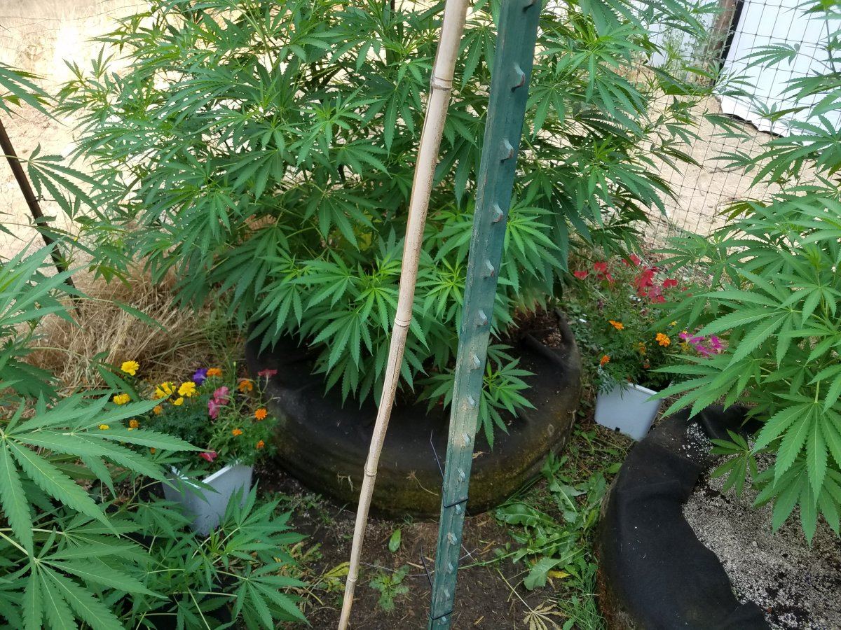 20180731 090220