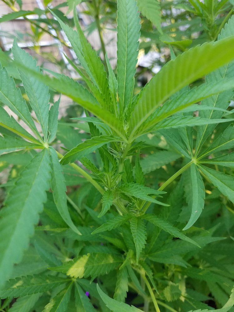 20180803 084403