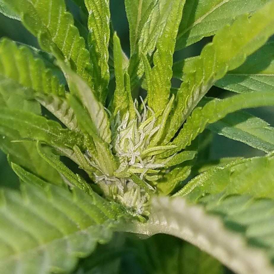 20180803 084927