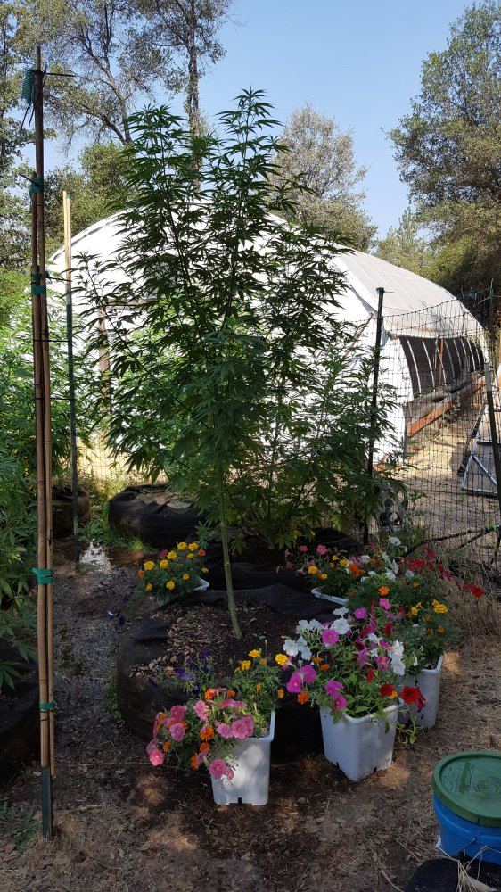 20180804 102101
