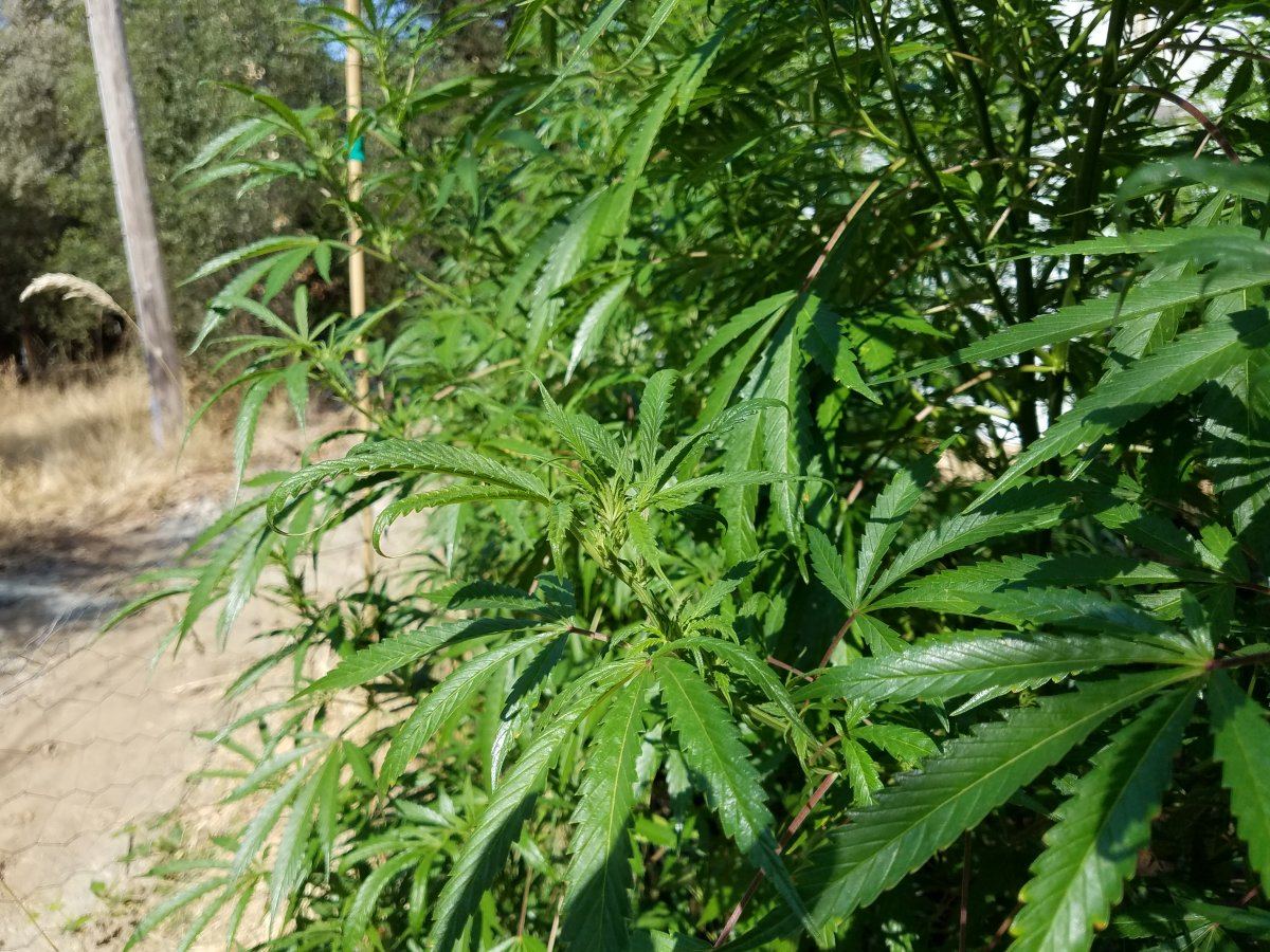 20180812 103559