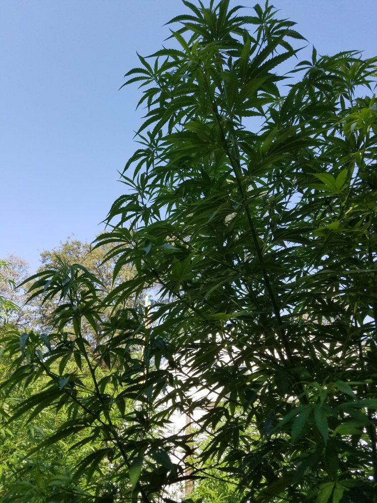 20180812 103907