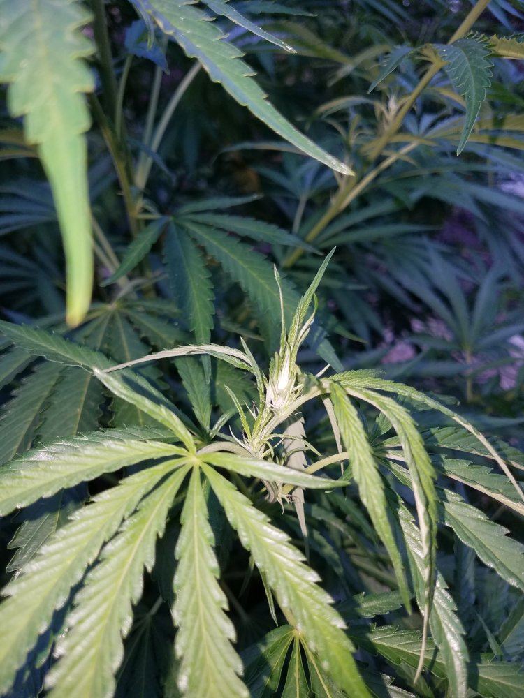 20180812 193213