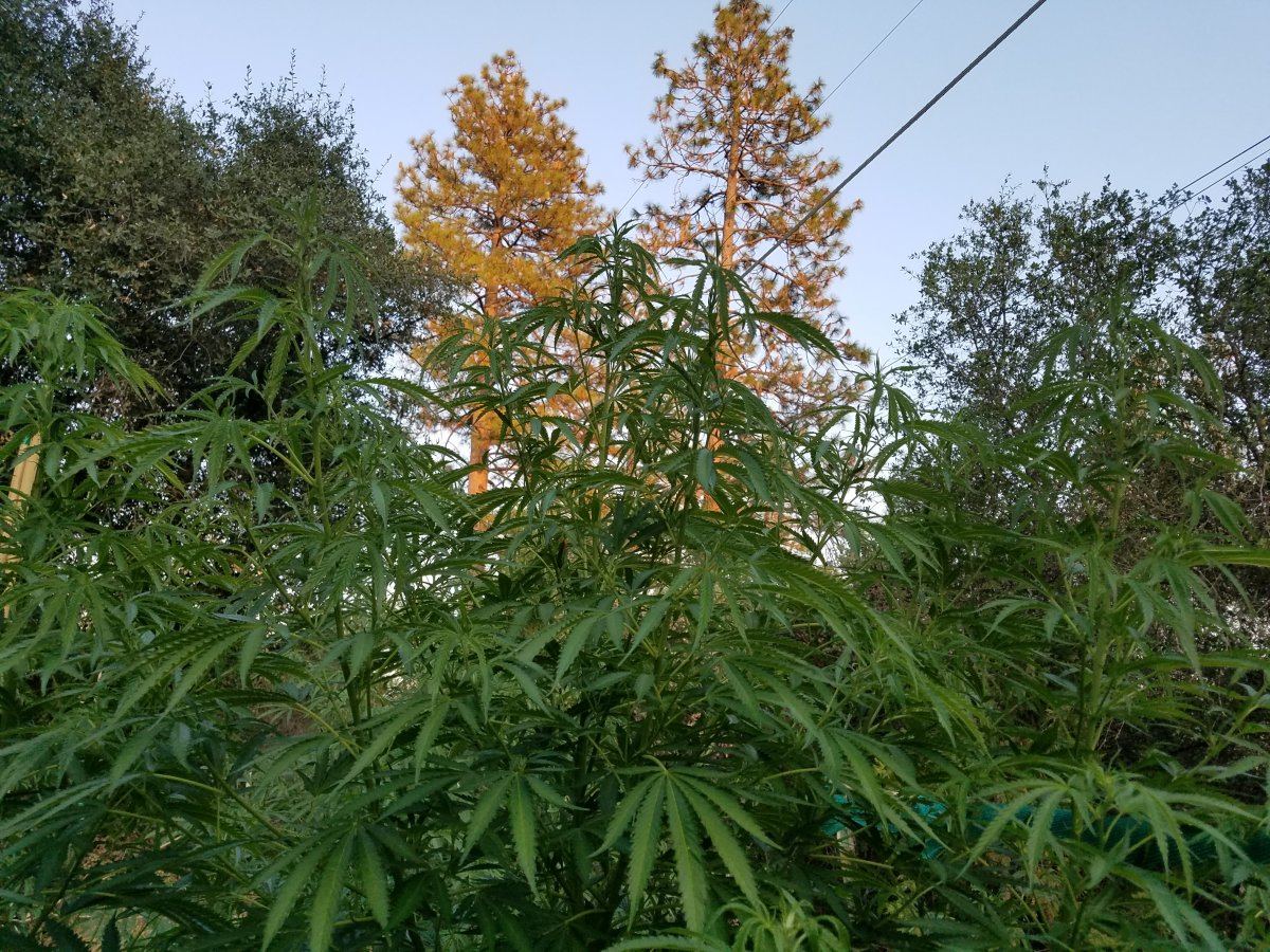 20180812 193645