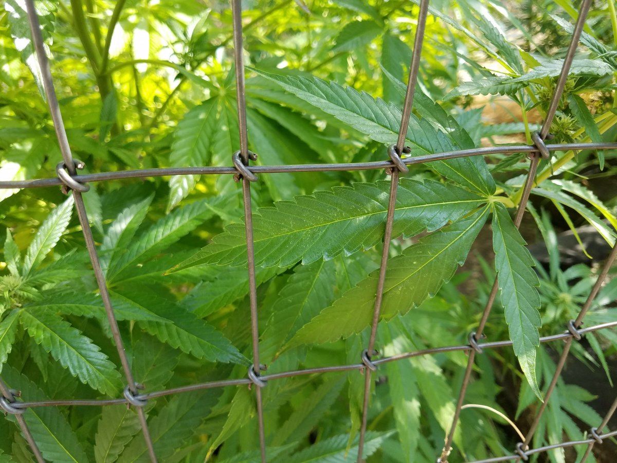 20180814 162112