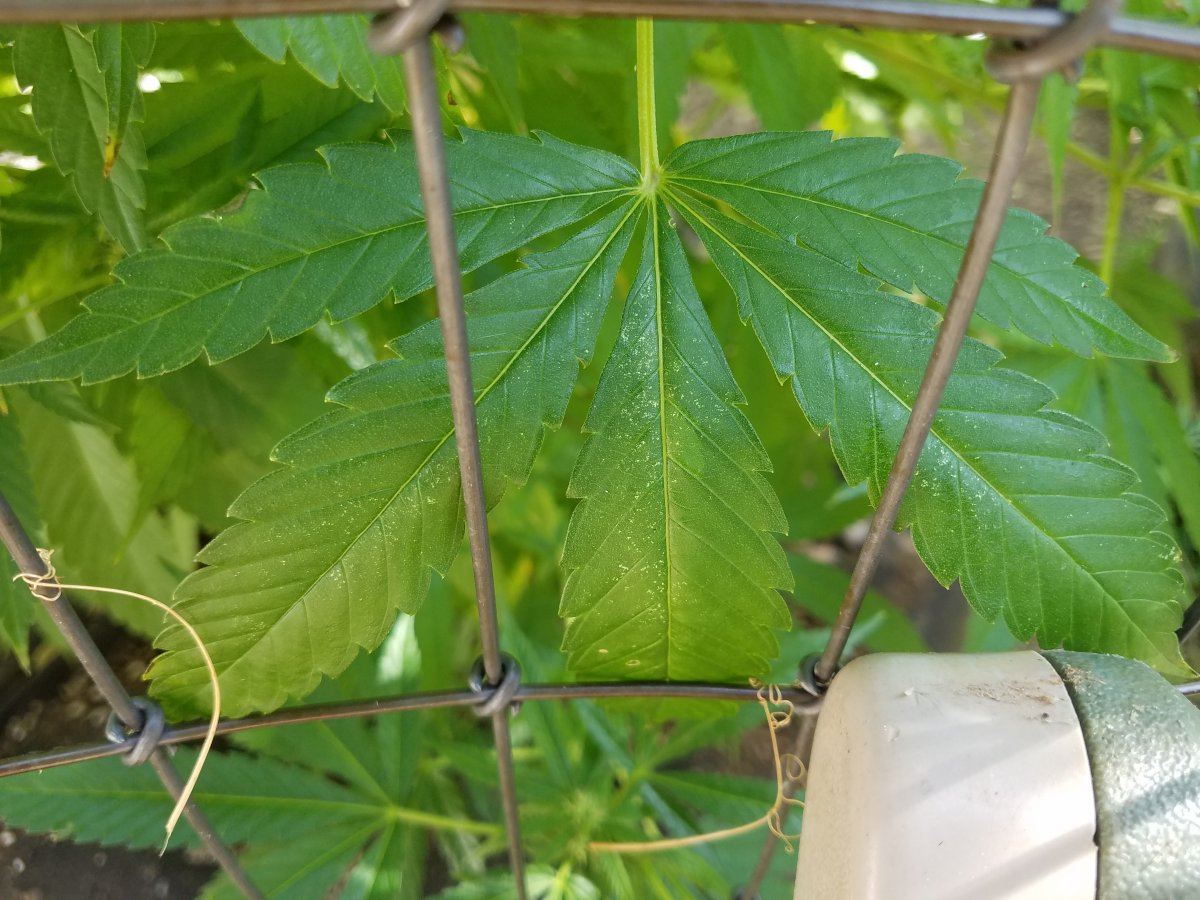 20180814 162122