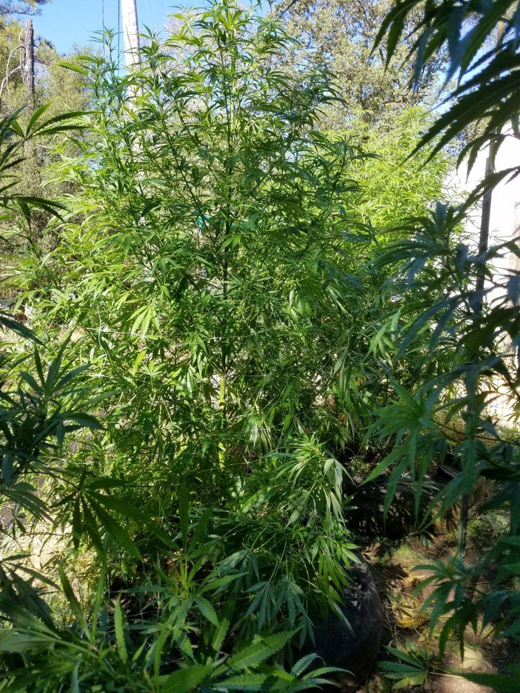 20180817 100615