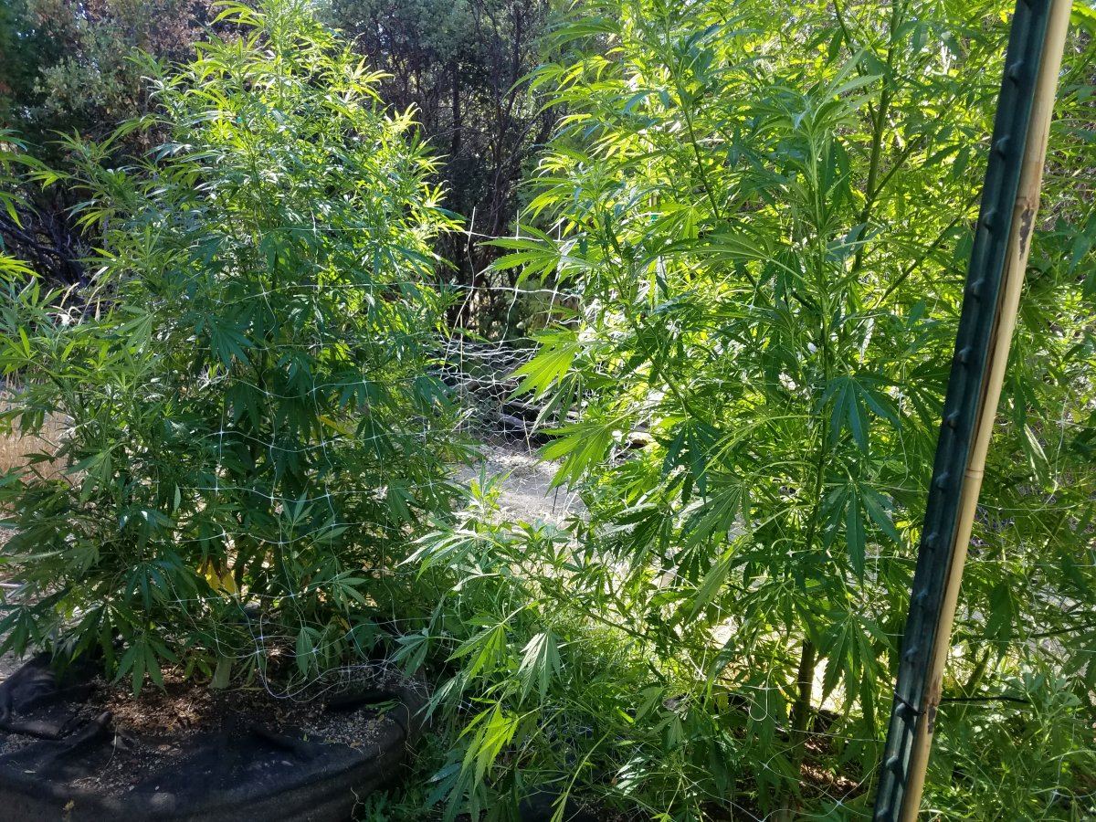20180817 100636