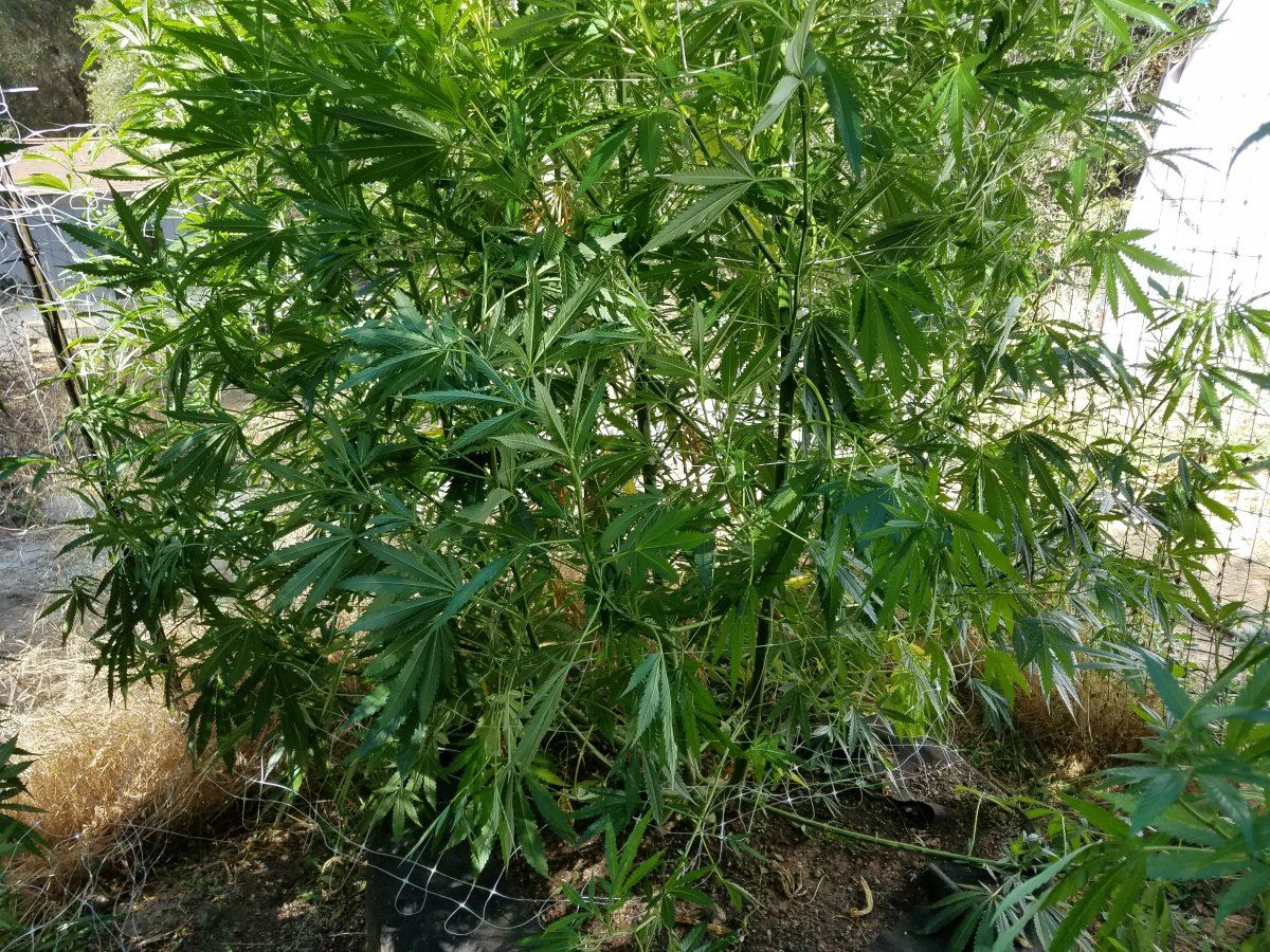 20180817 100644