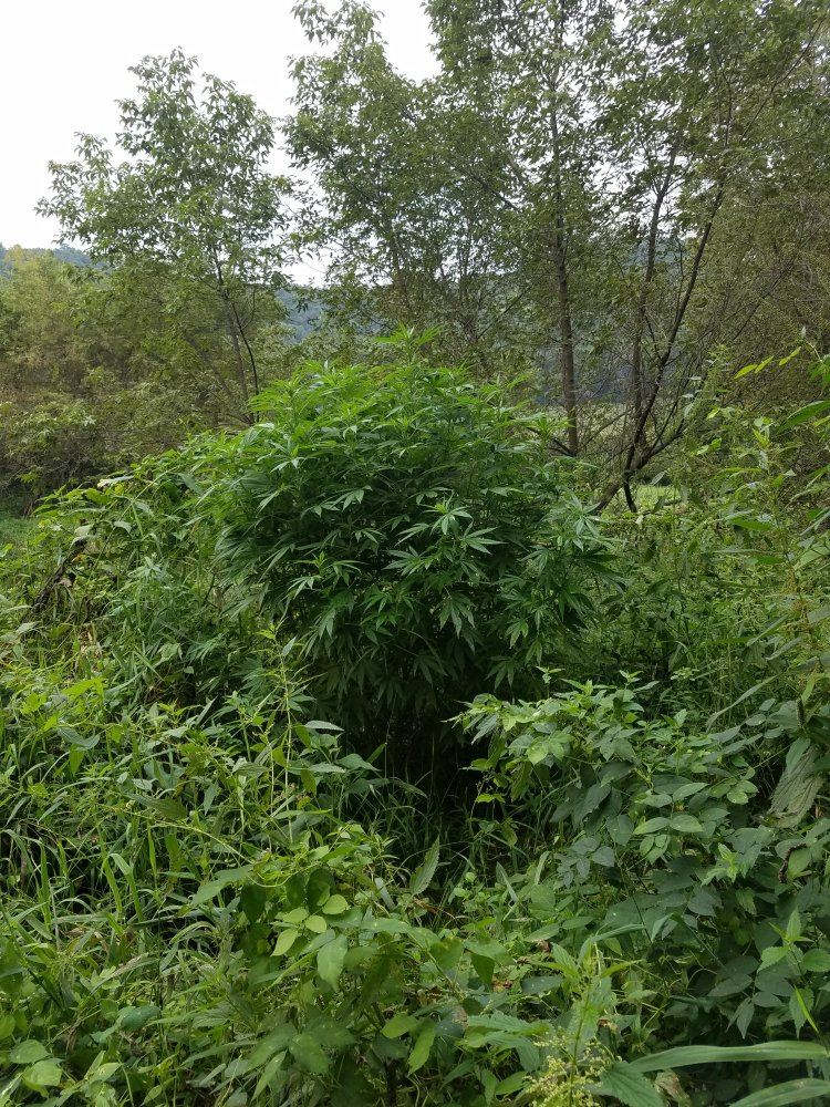 20180819 183055