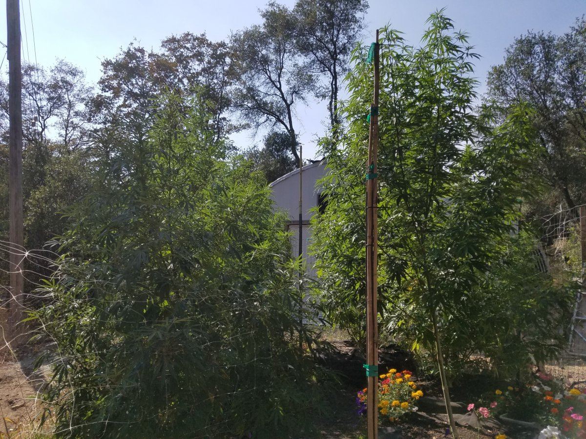 20180822 162101