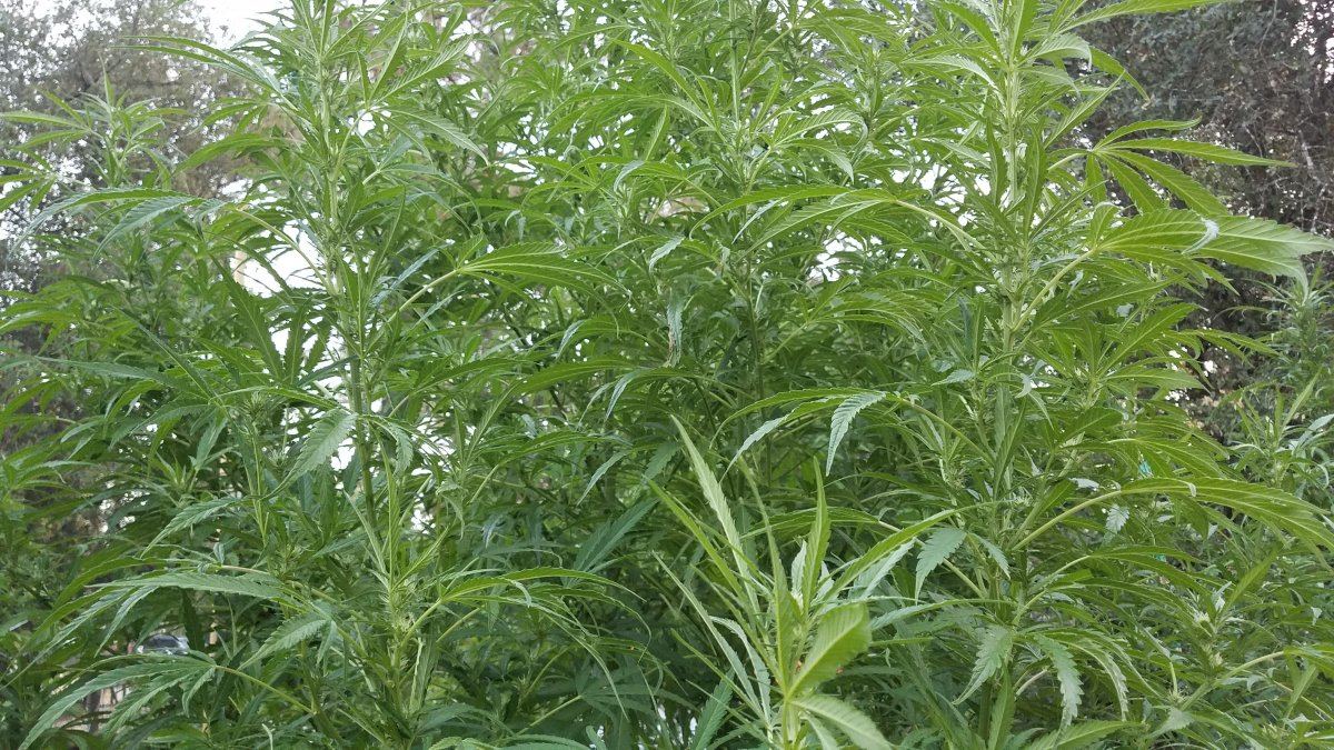 20180830 064612