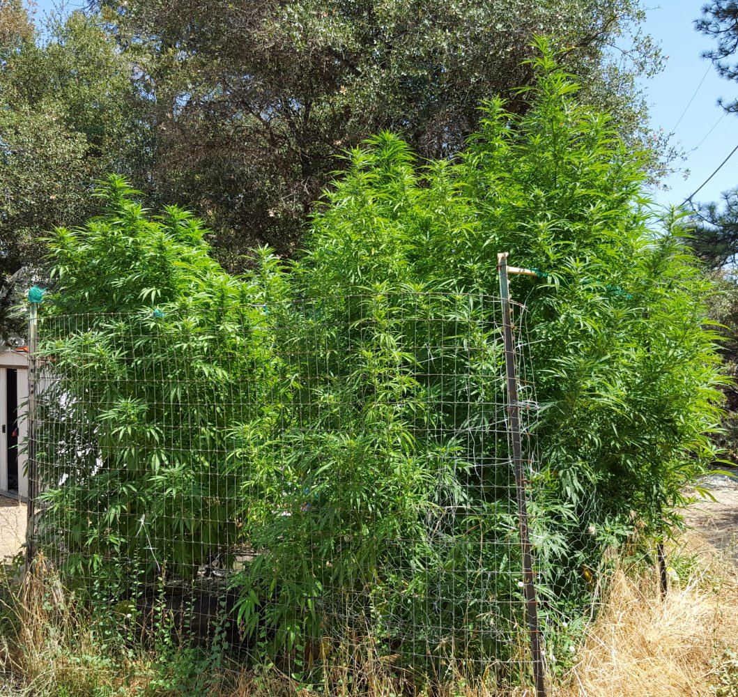 20180903 141740